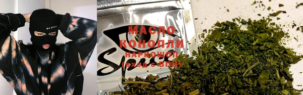 мдпв Горняк