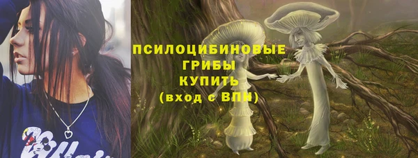 прущая мука Горно-Алтайск