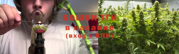 мдпв Горняк
