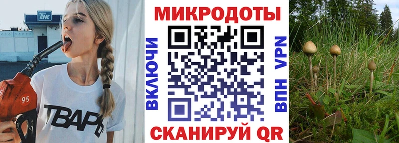 Галлюциногенные грибы Psilocybe  Купить где  Тырныауз 